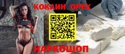jwh Будённовск