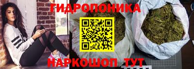 jwh Будённовск
