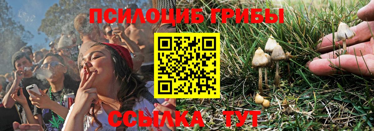 Галлюциногенные грибы Magic Shrooms  Вход с VPN  Севастополь 